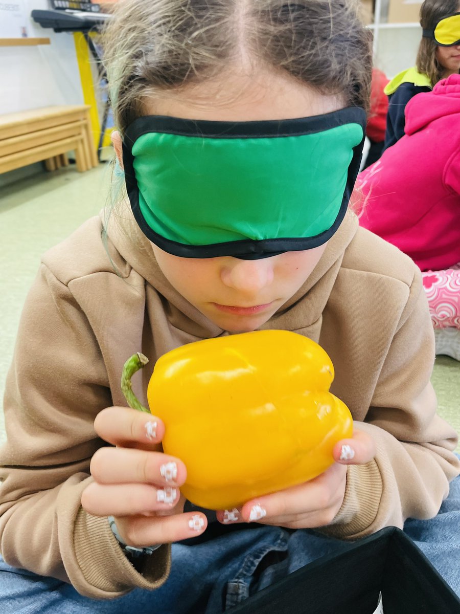 fragosusmarkus's tweet photo. Exploració i descoberta sensorial cromàtica. Quina olor, quin gust, quin tacte i quin so tenen els colors? Podem prescindir de la vista per treballar el cromatisme? Sensacions de tots colors #somprojecte #somCamins @escolacamins https://t.co/I1mBsqIiAD