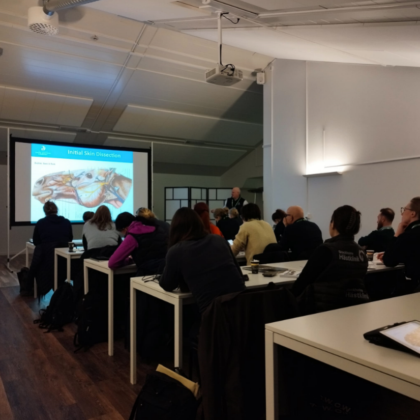 Equina_AstoCT's tweet photo. Asto CT's first @VetPD sponsored courses are complete! A big thank you to Chapparal Veterinary Medical Center and Malaren Hastklinik for graciously hosting at their stunning facilities. Keep an eye out for exclusive discounts on our upcoming courses.🐴📷 #AstoCT #VetPD #Equine https://t.co/Ez6JiNfBAV