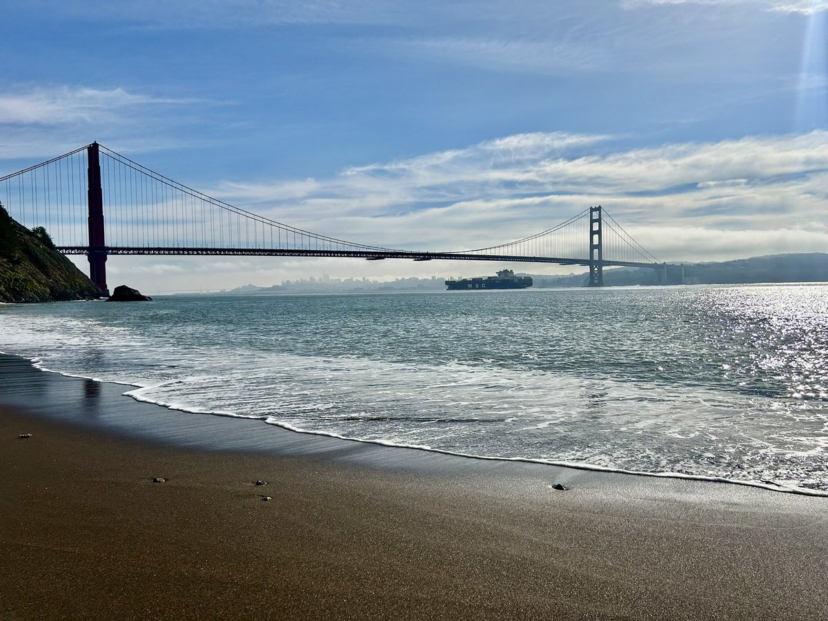 sfhellscape's tweet image. 