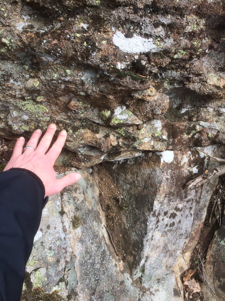 Promenade géologique vers chatelguyon sur la #failledelimagne aujourd’hui : contact socle (roche claire, granite sens large, 334 Ma, carbonifère (Viséen)) et un dépôt sédimentaire rougeâtre éocène moyen-supérieur (50-33 Ma)