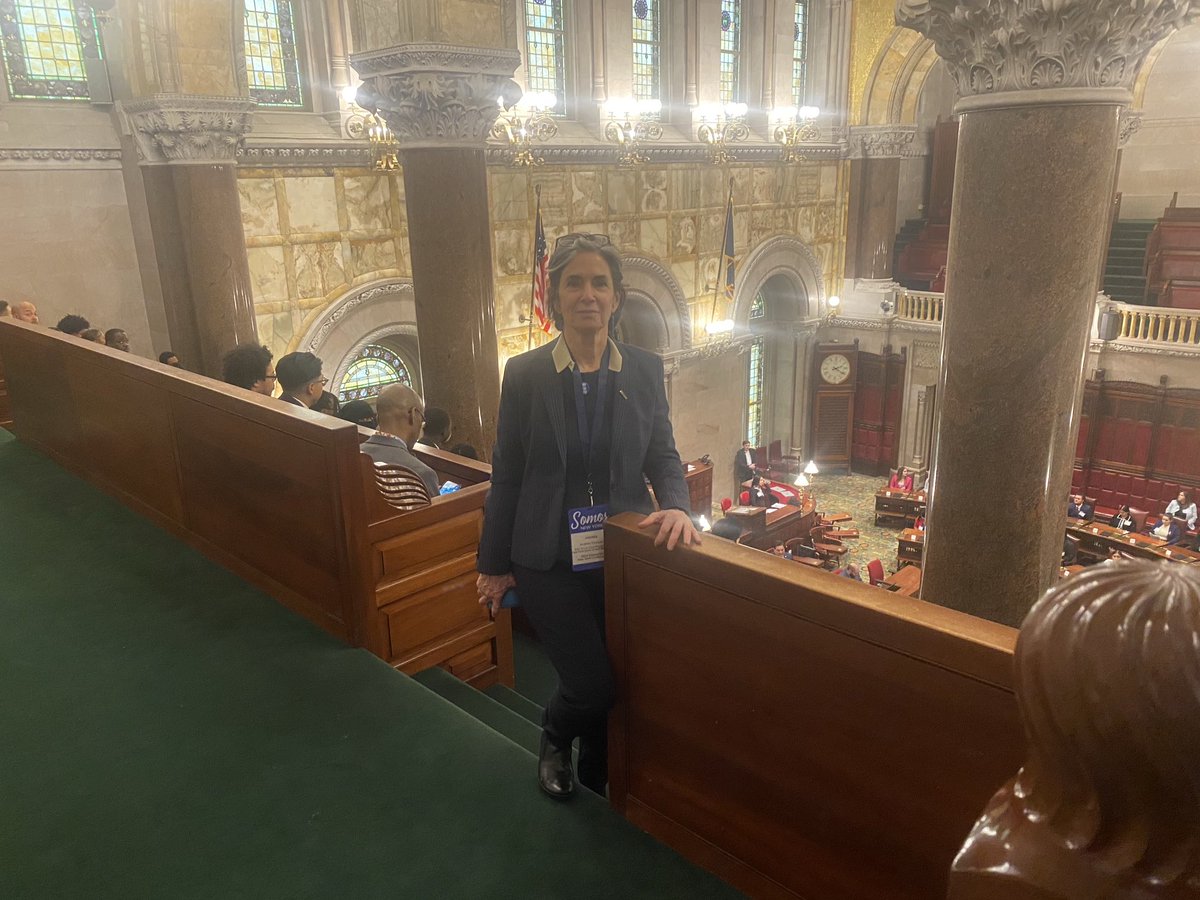avsqz's tweet photo. Those are ⁦@CUNY⁩ students in the senators’ seats! #ModelSenate Our students need a future! ⁦@GovKathyHochul⁩ Fund #APeoplesCUNY https://t.co/8KRU3wQ7FD