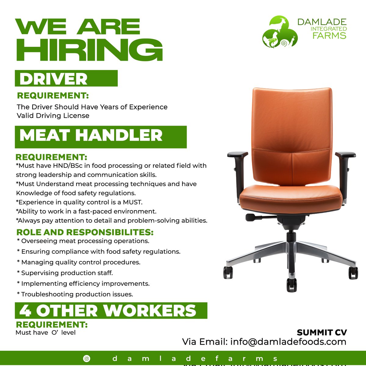InsideOsogbo's tweet photo. JOB VACANCY: The following roles are available at @DamladeFarms, Òṣogbo.

Interested persons should go through the information on the flyers and apply as appropriate.

RT

Good evening. 🤝🤝🤝

#InsideOsogbo https://t.co/msok2RsJ8o