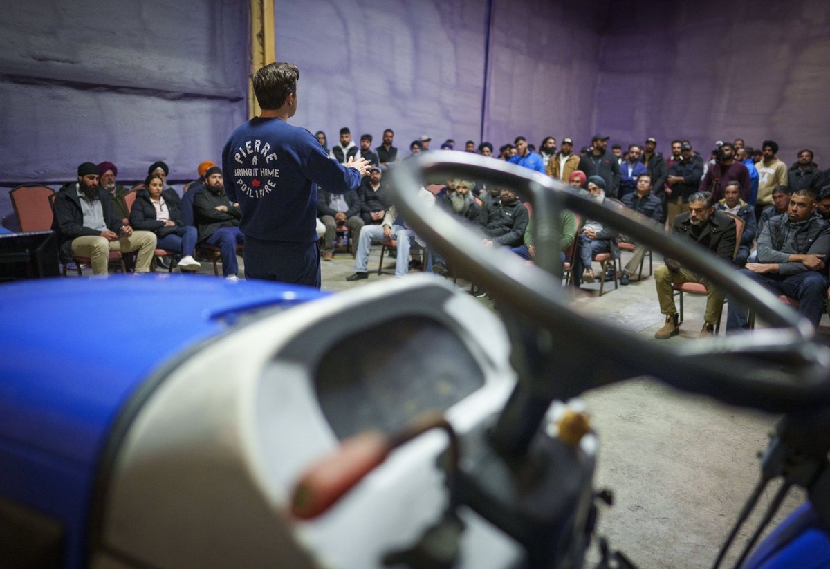 Pierre Poilievre tweet media