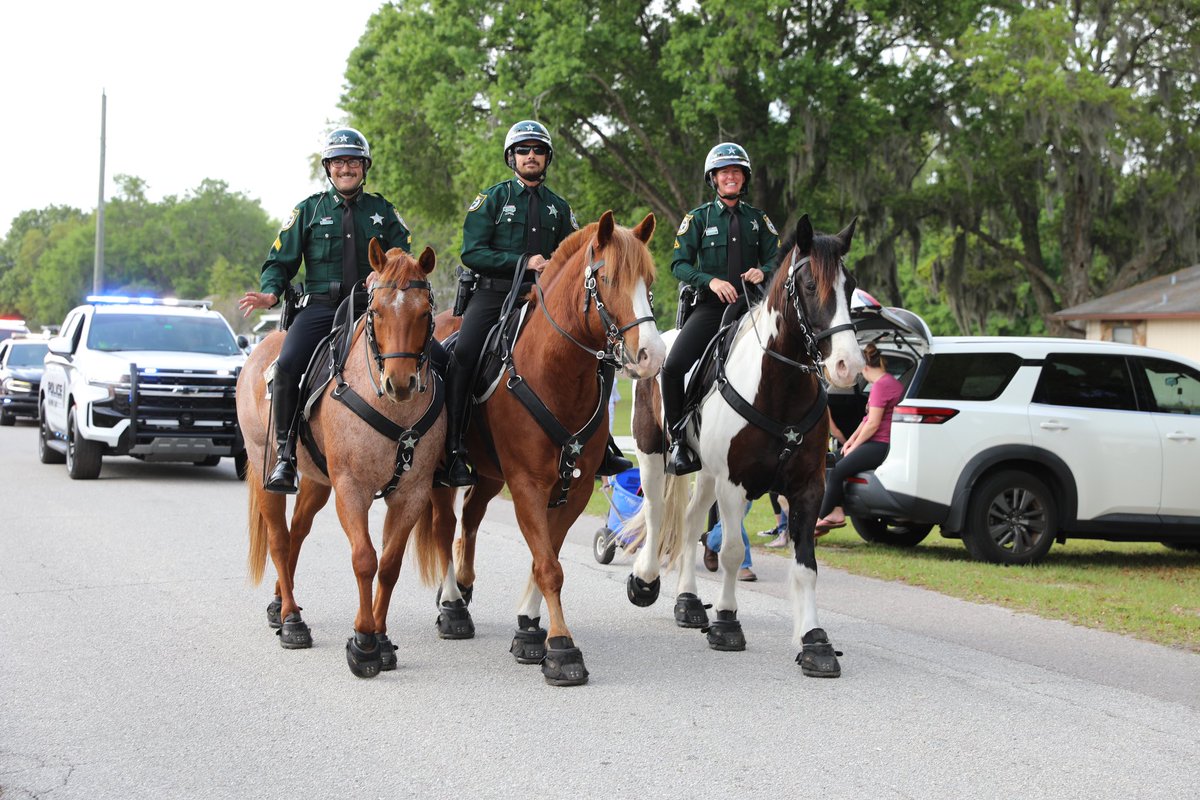 ManateeSheriff tweet picture