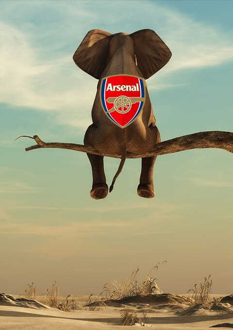 Elephant is back on top of the tree