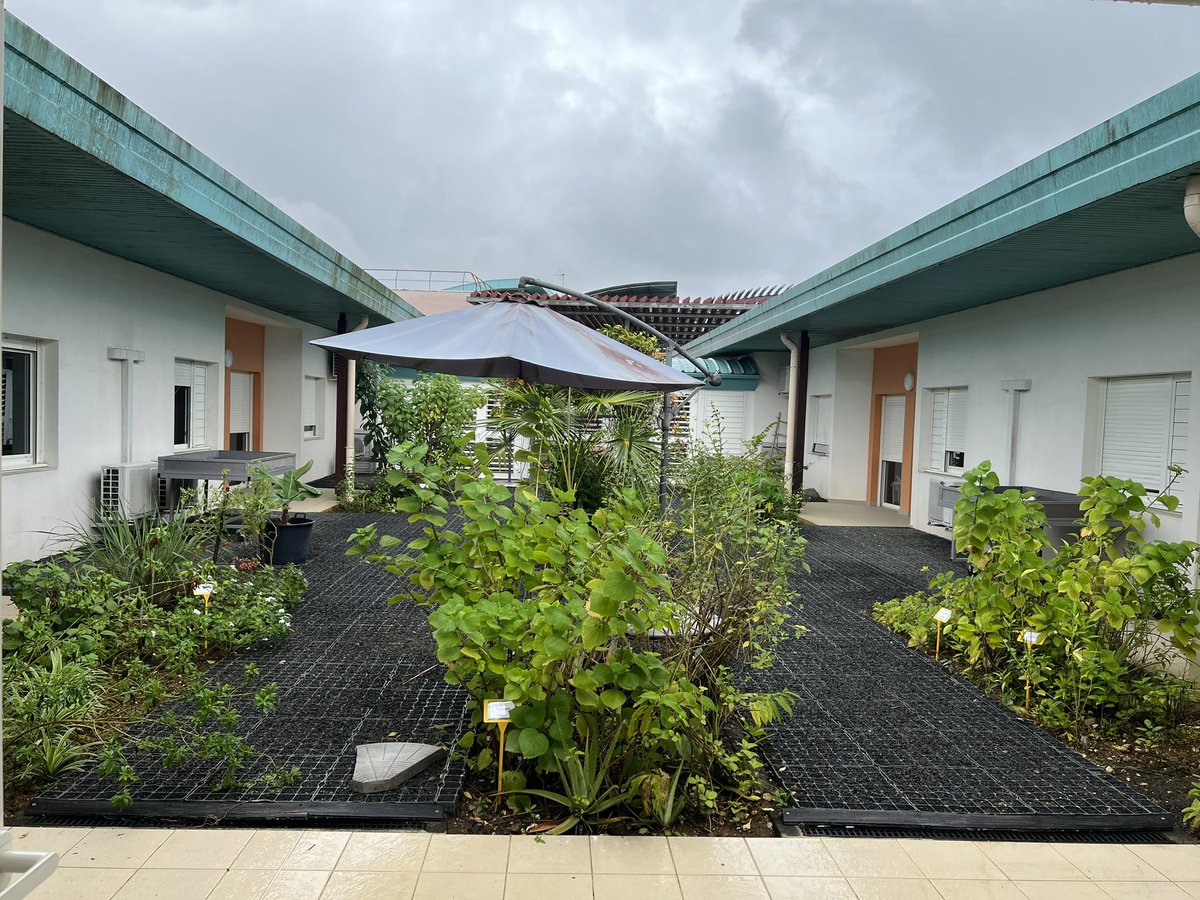 Réanimation Guadeloupe tweet media