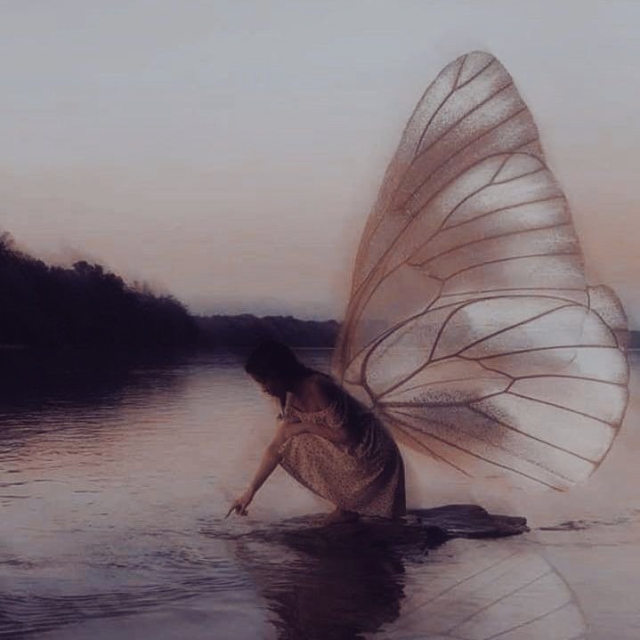 xAQUATICWINGS's tweet photo. ㅤ
ㅤ
ㅤ                         𓆩 𝐀𝐑𝐀𝐂𝐄𝐋𝐈 𓆪
ㅤ                𝐌𝙴𝚁𝙼𝙰𝙸𝙳  𑁤  𝐅𝙰𝙸𝚁𝚈
ㅤ                 ﹙ ½  𝒉𝒊𝒃𝒓𝒊𝒅  𝒍𝒆𝒈𝒂𝒄𝒚 ﹚

ㅤ               𝙰ʜʀɪᴀᴅɴᴀ  ⟡  𝙿ᴜʀᴇ 𝚂ᴏᴜʟ
ㅤ               𝚃𝐡𝐞 𝙲𝐮𝐫𝐫𝐞𝐧𝐭 𝙽𝐞𝐯𝐞𝐫 𝙻𝐢𝐞𝐬
ㅤ
ㅤ https://t.co/CCRVlqIie0