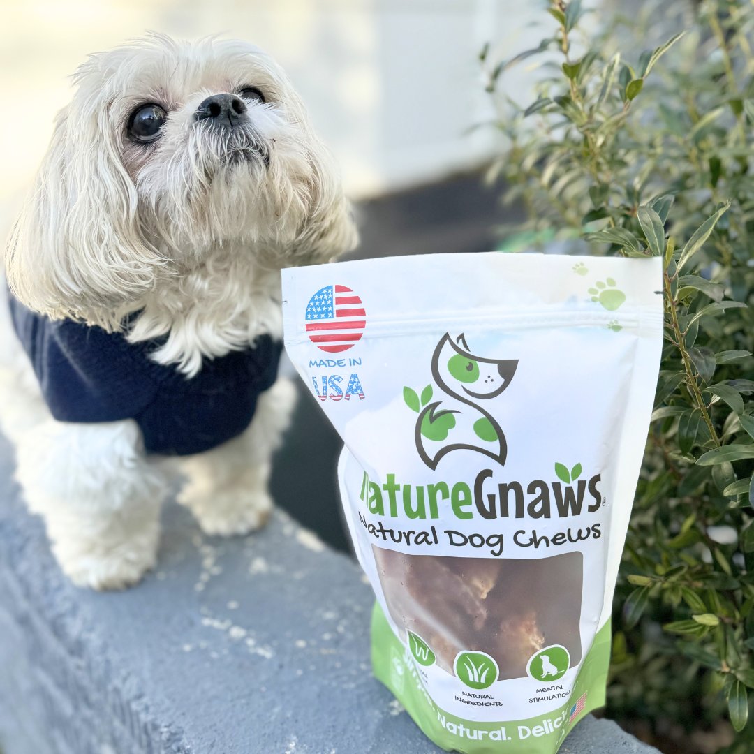 🐶💕 Mom, could you please open my pack of chicken jerky treats?

🇺🇸 Made in USA
🐶 Rawhide FREE
✨ Choose between one pound or two pounds
🐾 For all dog sizes
🌊 Plastic Neutral Certified by @4Ocean

Link in Bio 💚

#dogs #jerkydogtreats #chewsticks #naturegnaws
