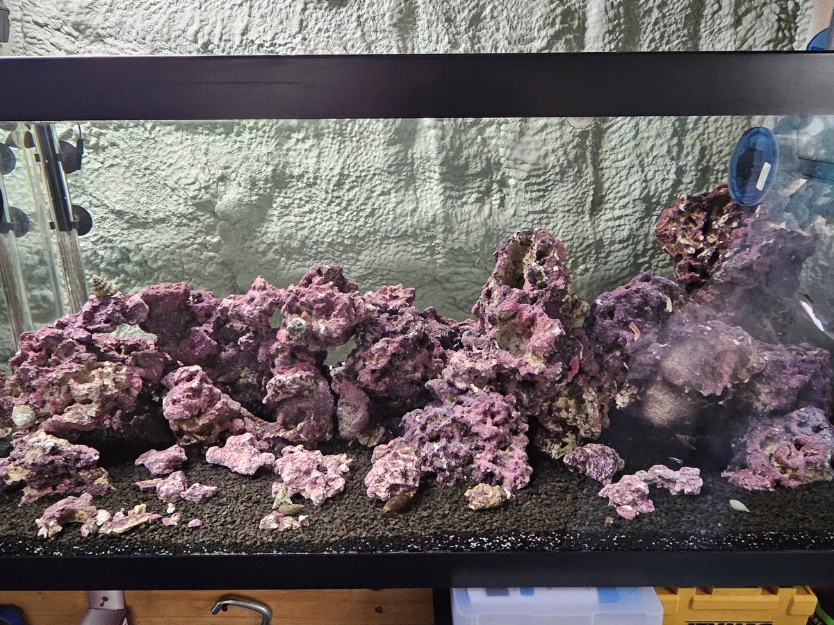 SharkFreakToo's tweet photo. Tank 1 Ready for fish 🐟 https://t.co/d3nTxyebEq