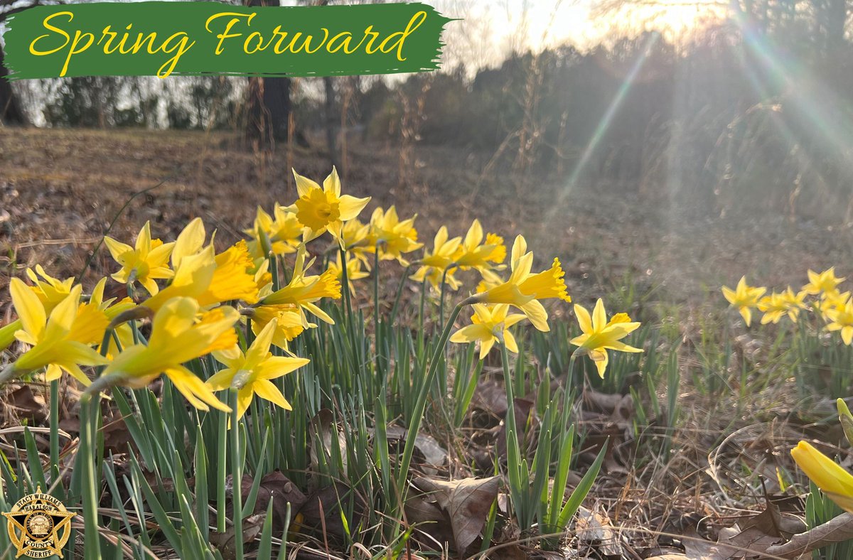 HaralsonSheriff's tweet photo. Daylight Savings Time is almost here folks. For those who don’t have “smart” appliances, clocks and more, please remember to set your clocks forward one hour tonight.
#SpringForward #DontBeLate #SetYourClocks #DaylightSavingsTime #HCSO https://t.co/k2Sdf0SITa