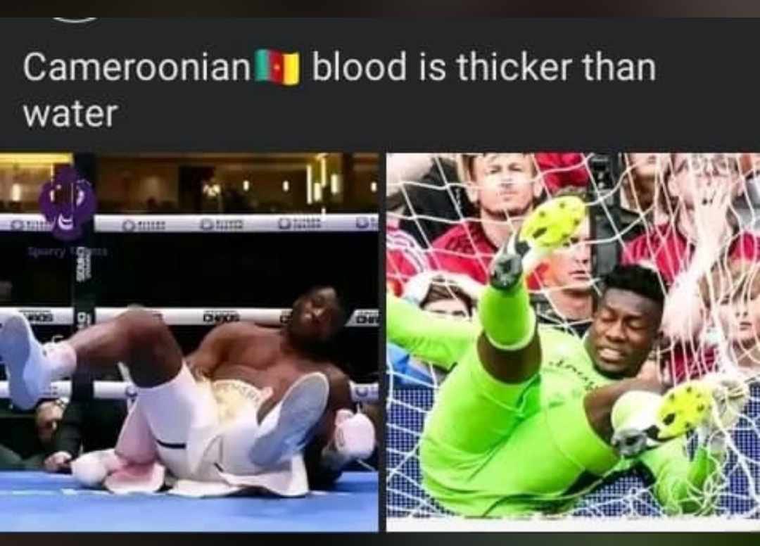 conquerkin's tweet photo. I’m back again to drop the violence 😁😁😂 https://t.co/SV3fjBBRyy