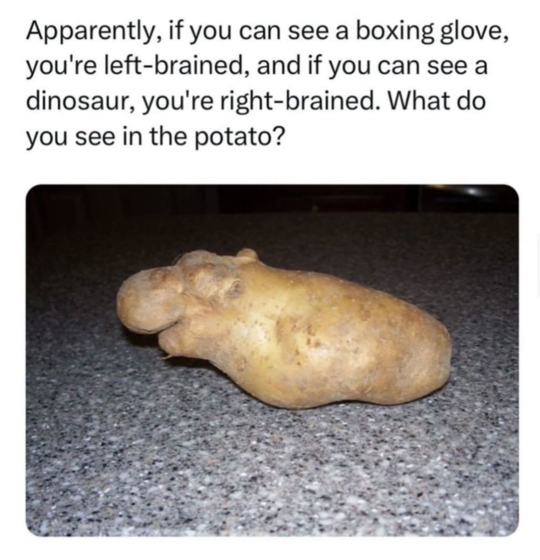 𝙳𝚊𝚝𝚊 tweet media