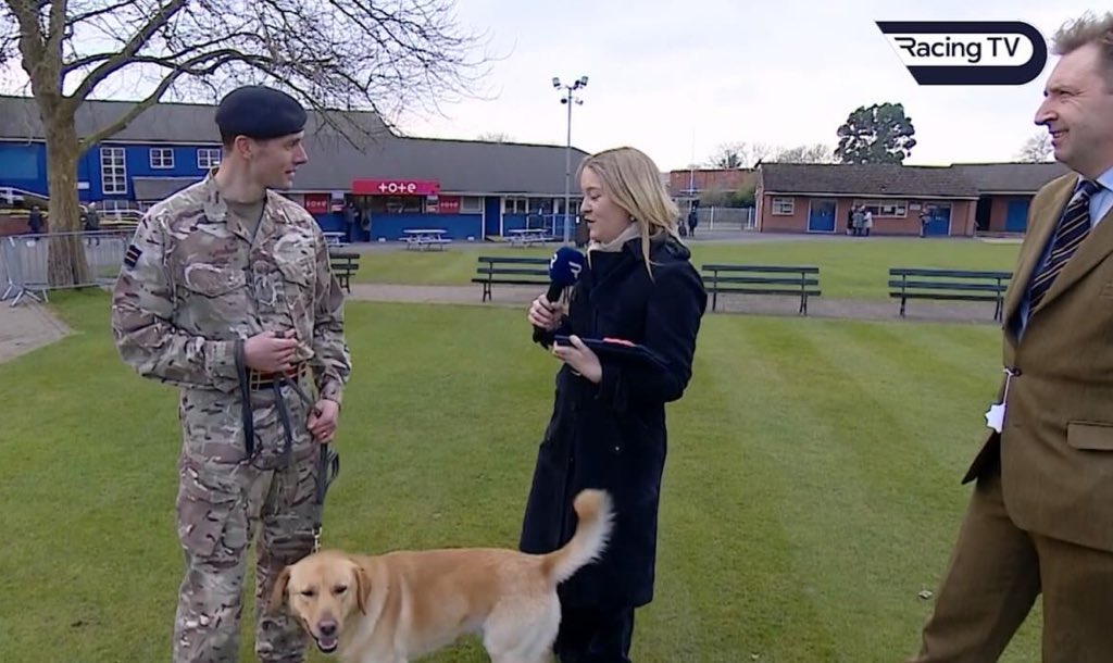 DATR’s Commanding Officer, several personnel & one of our stunning Military Working Dogs ‘MWD Kelso’ attended Leicester Races Veterans Day. Our team was also kindly interviewed by Racing TV. #DATR #LeicesterRaces #MWA #MilitaryWorkingAnimals