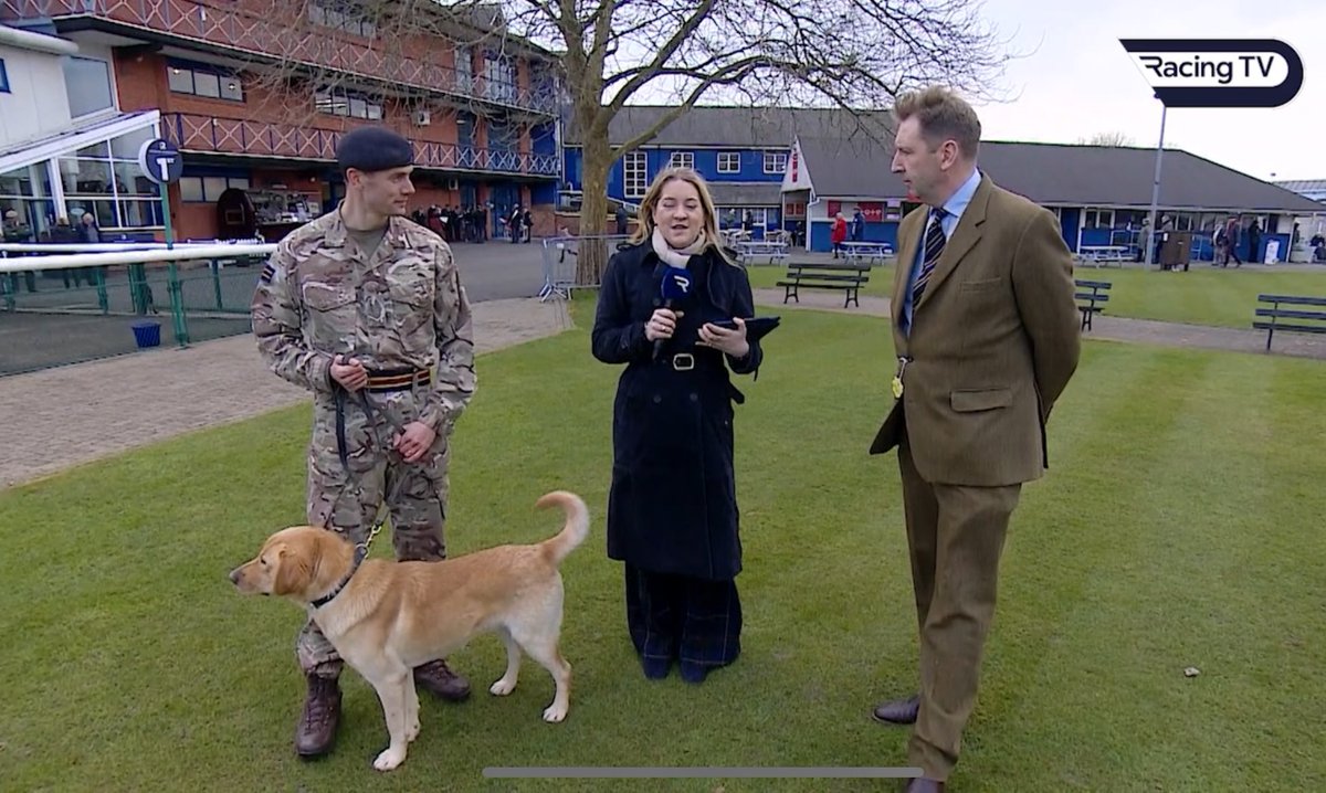 Defence Animal Training Regiment tweet media