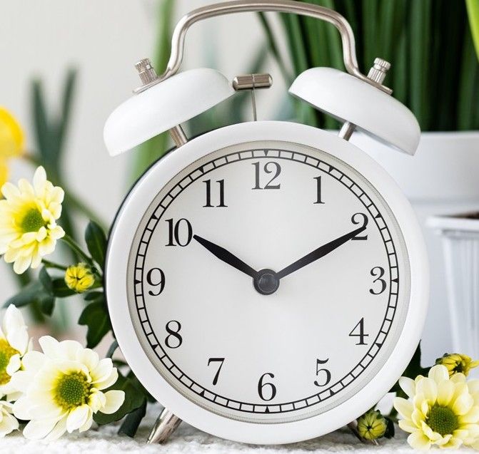 SHSPestControl's tweet image. Don't forget to Spring Ahead tonight...🌞✨