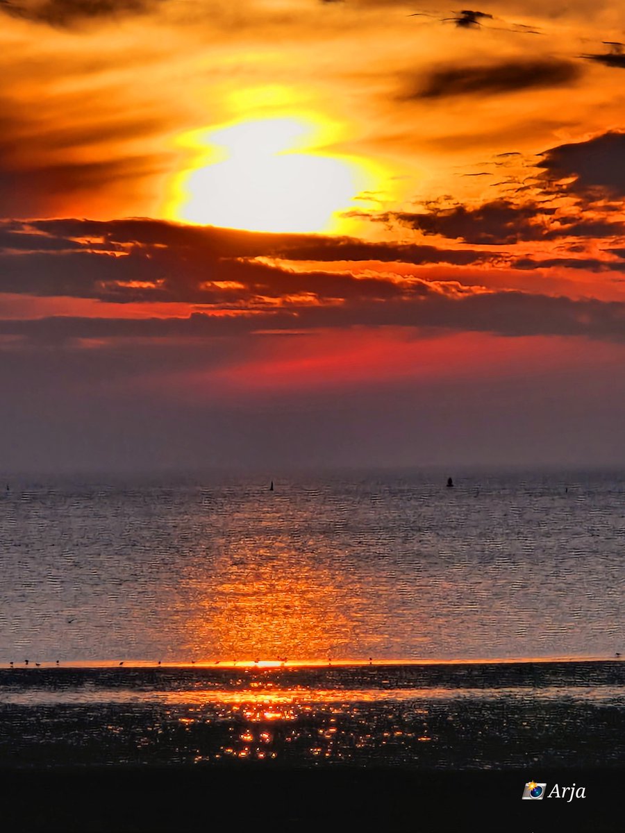 ArjaKastelein's tweet photo. #zonsondergang #dutchsunset boven de #waddenzee aan het #strand van #Harlingen #mooieluchten #wolkenlucht #oranje https://t.co/HFEkfYWExu