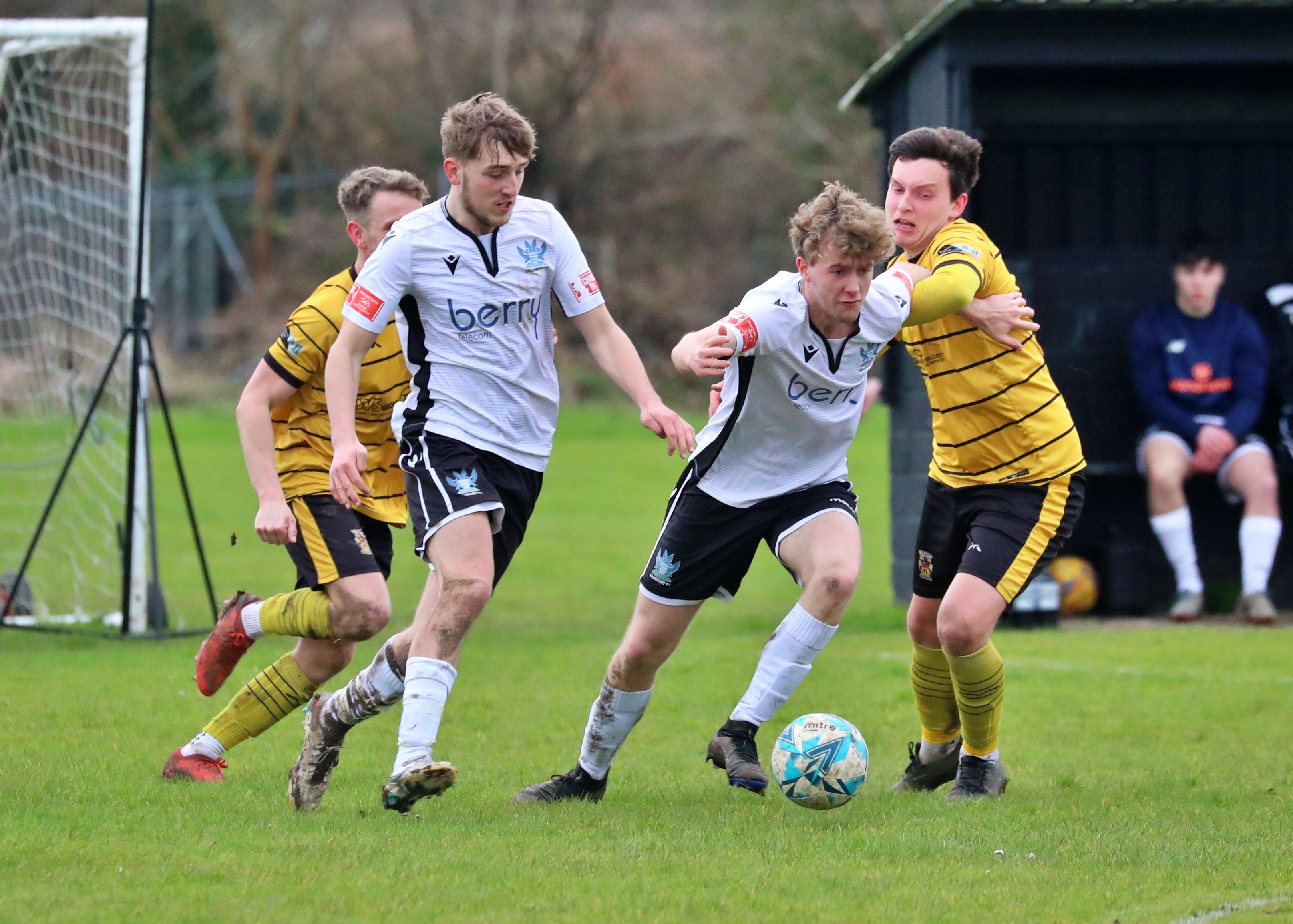 Salisbury online fc twitter