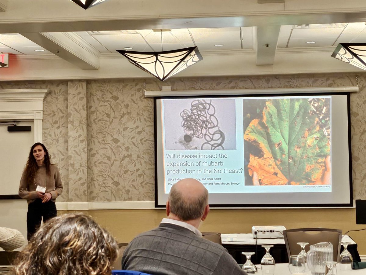 Libby Indermaur tweet media