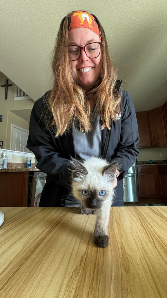 Dr. Ranking and Sundae are showcasing the heart of our mission: compassionate, at-home veterinary care. Health checks with a smile, where pets are most comfortable. 🐈️ 👩‍⚕️