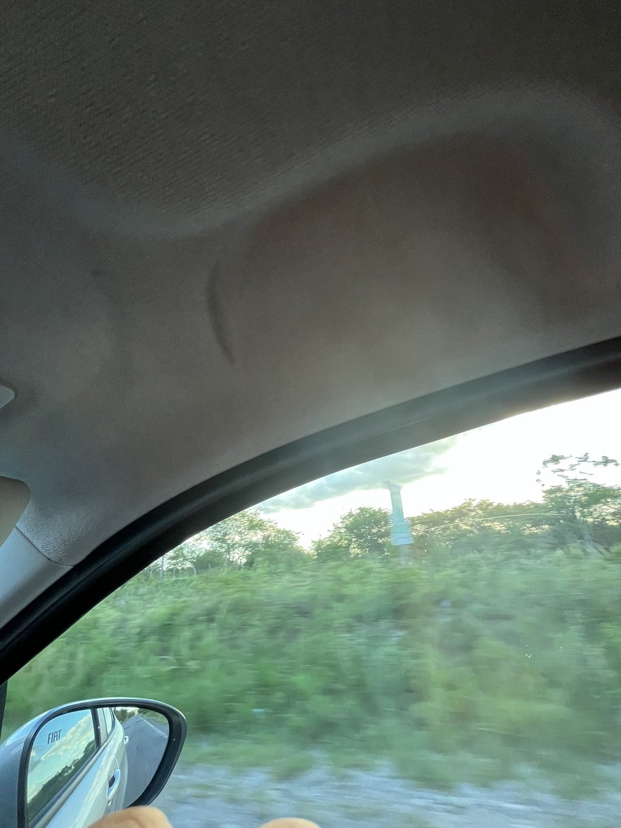 petitabell's tweet photo. Me sinto incompleto toda vez que entro num carro sem Puta que Pariu https://t.co/lReP3VaOyD