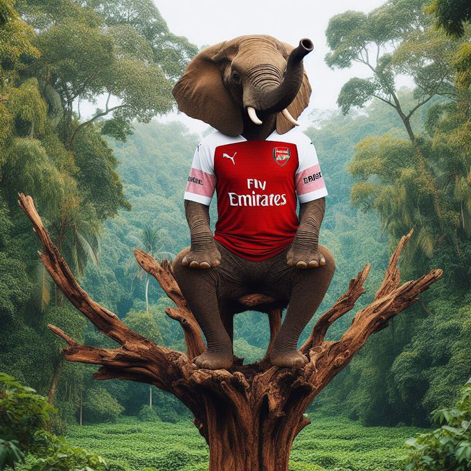 Senkagale Elephant…😂😅🤣