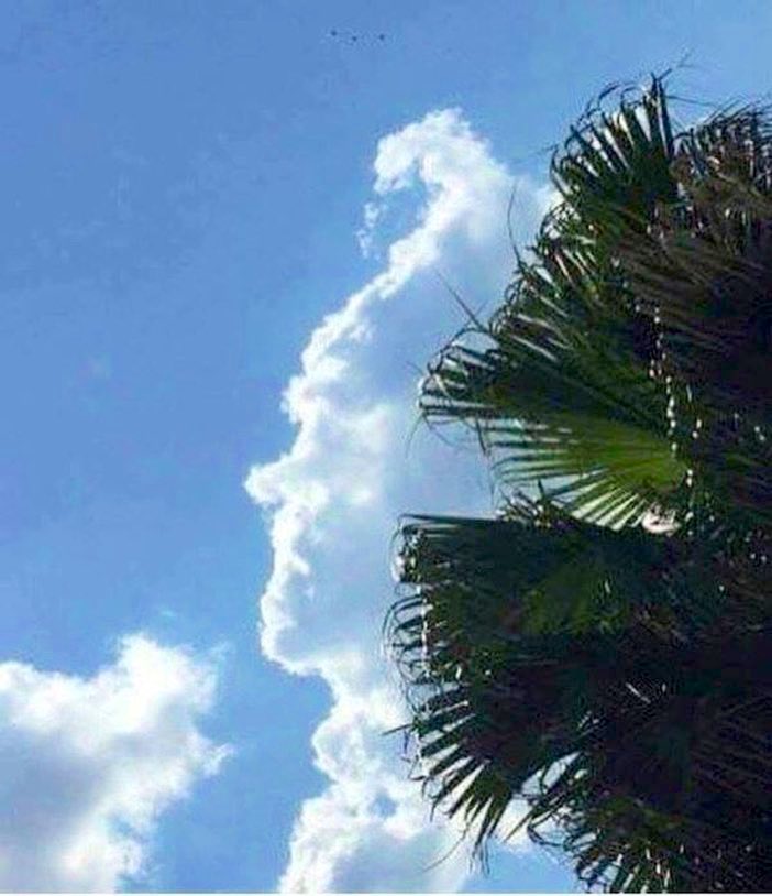 This Charming Cloud?