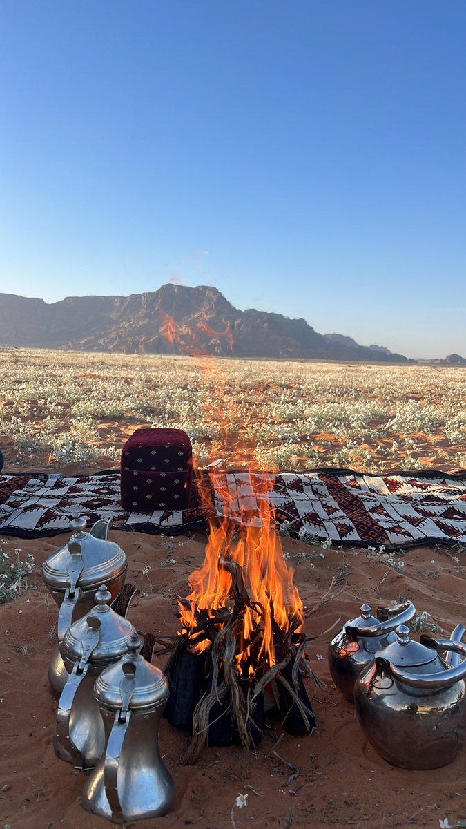 ali__776's tweet photo. سج القدم في ديرتن عشبها غير
بعيد عن الازعاج والجو هادي .. https://t.co/PWnmE25y5l