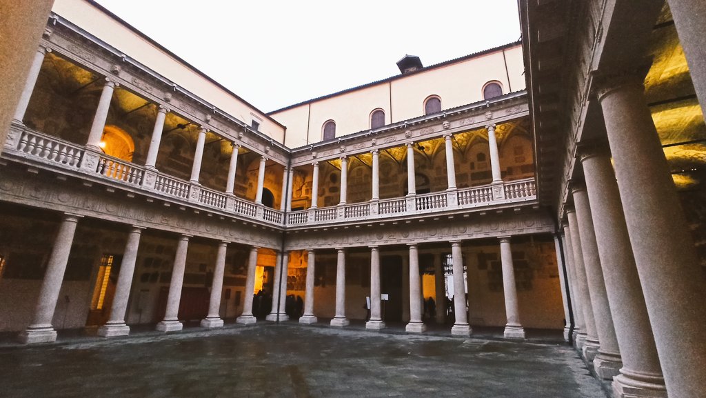 Bog pine dendroecology tweet media