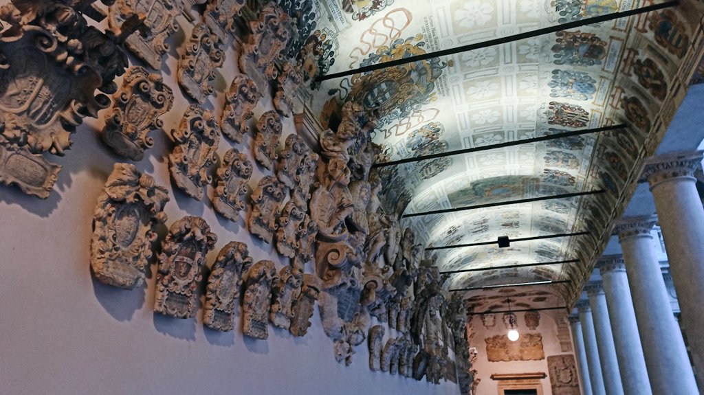 Bog pine dendroecology tweet media