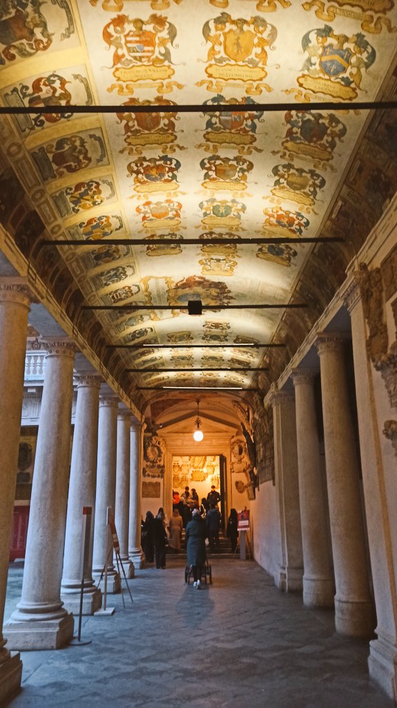 Bog pine dendroecology tweet media