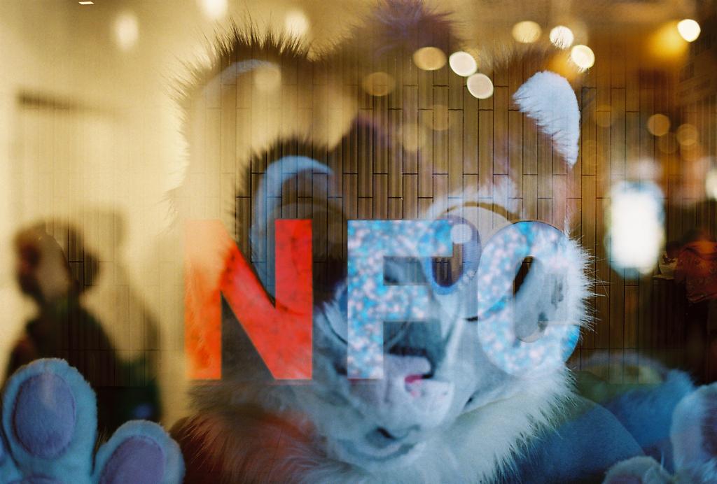 Flaofei's tweet photo. Suiter: @KotoWolfir
Owned by: @LuciferWoof

This is one of my favourite pictures from NFC. Multiple exposures of kitty, over the NFC sign, with a dreamy background flowing over everything. It's just like going to a convention! Fluffy sensory overload feverdream :P https://t.co/yQNczZdyiE