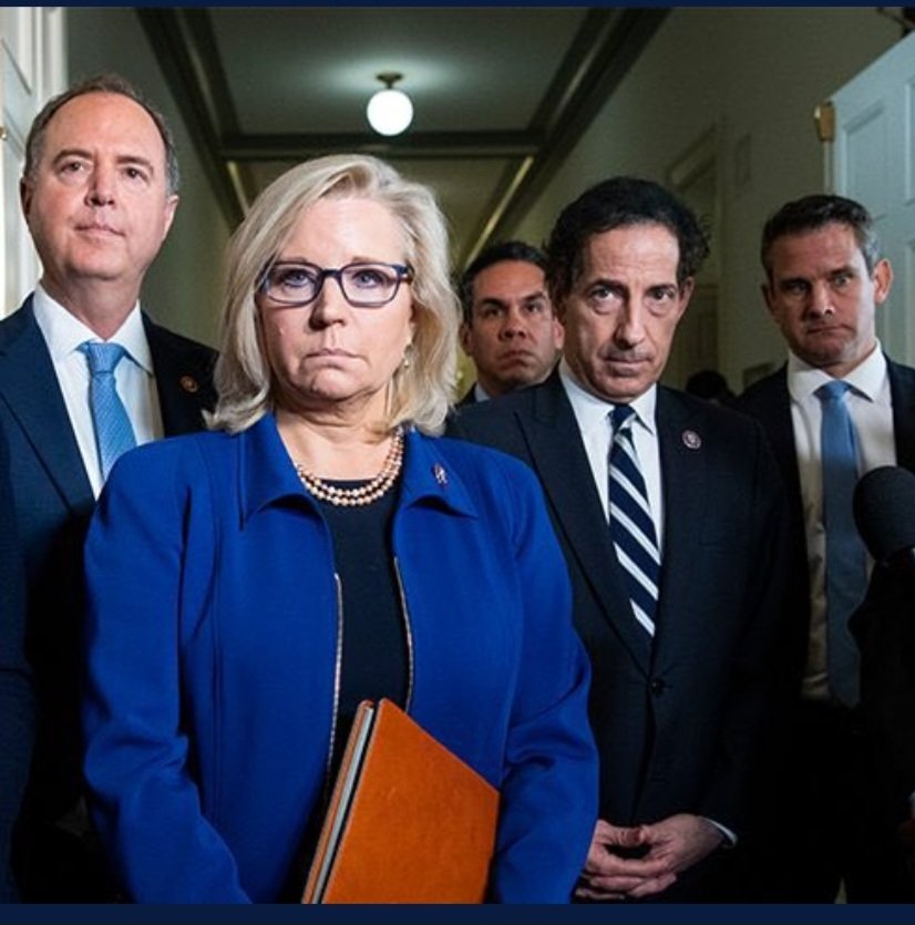 Raise your hand ✋️ if you want these fucken liars to trade places with the innocent J6ers Arrest Liz Cheney 👇