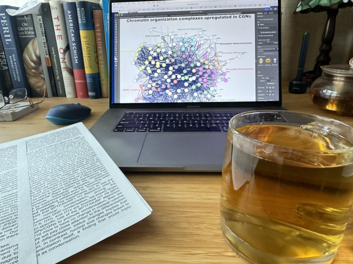 So_lets_kiLab70's tweet photo. Sipping Greek Mountain tea and hatching the figures for the next R01. Chromatin and proteomic hairballs galore. #AcademicWeekend #PILife #SaturdayMotivation #SaturdayMood https://t.co/adC8AFdn6X