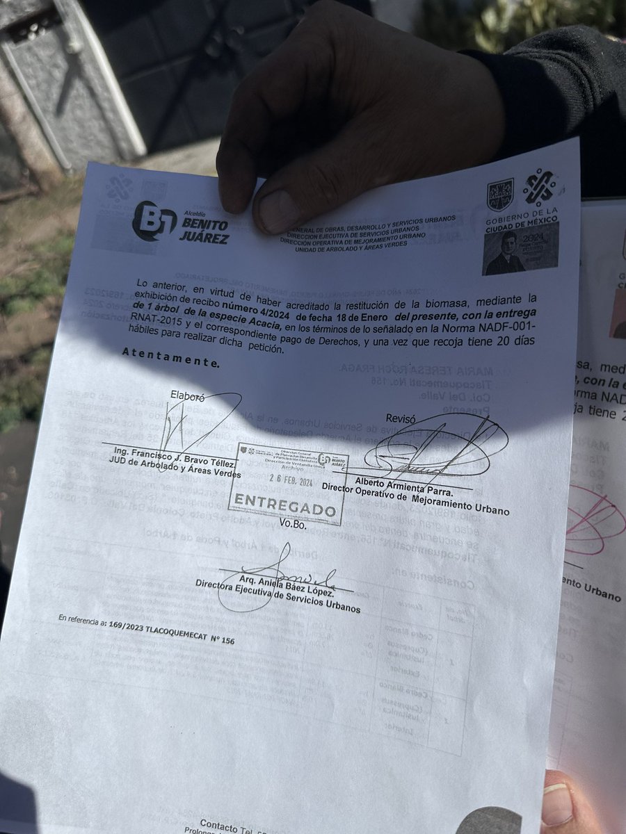 LeonoraEsquivel's tweet photo. Esto sucede en @BJAlcaldia autorizan derribo de árbol por “viejo” y la señora pidió también el derribo del enorme árbol del interior. @supercivicosmx @arturoelpantera @QuiqueTamayoMX @vivanlosarboles @En_laDelValle @genarolozano @PAOTmx https://t.co/sSJ1YWyqV4