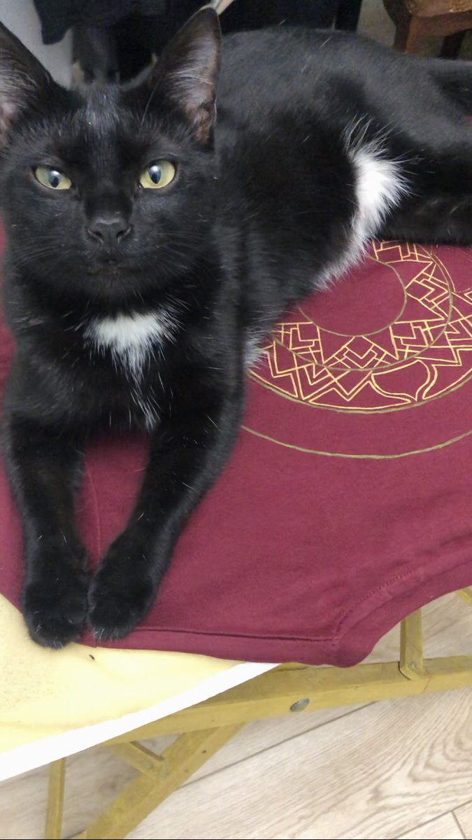 Betelgeuse (@betelgeuse8888) on Twitter photo 