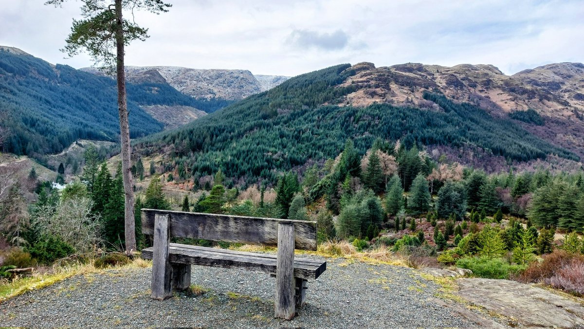 A photo taken in the beautiful Benmore Botanics. One of my favourite resting places with a wonderful view. <a href="/BenmoreBotGdn/">Benmore Botanic Garden</a> <a href="/Argyll_IslesApp/">Argyll and the Isles</a> <a href="/ArgyllHeritage/">ArgyllHeritage</a> <a href="/dotn34/">Dot</a> <a href="/Sybalan/">Sybil Baldwin #TheSpiderWhisperer 🕷</a> <a href="/dotn34/">Dot</a>