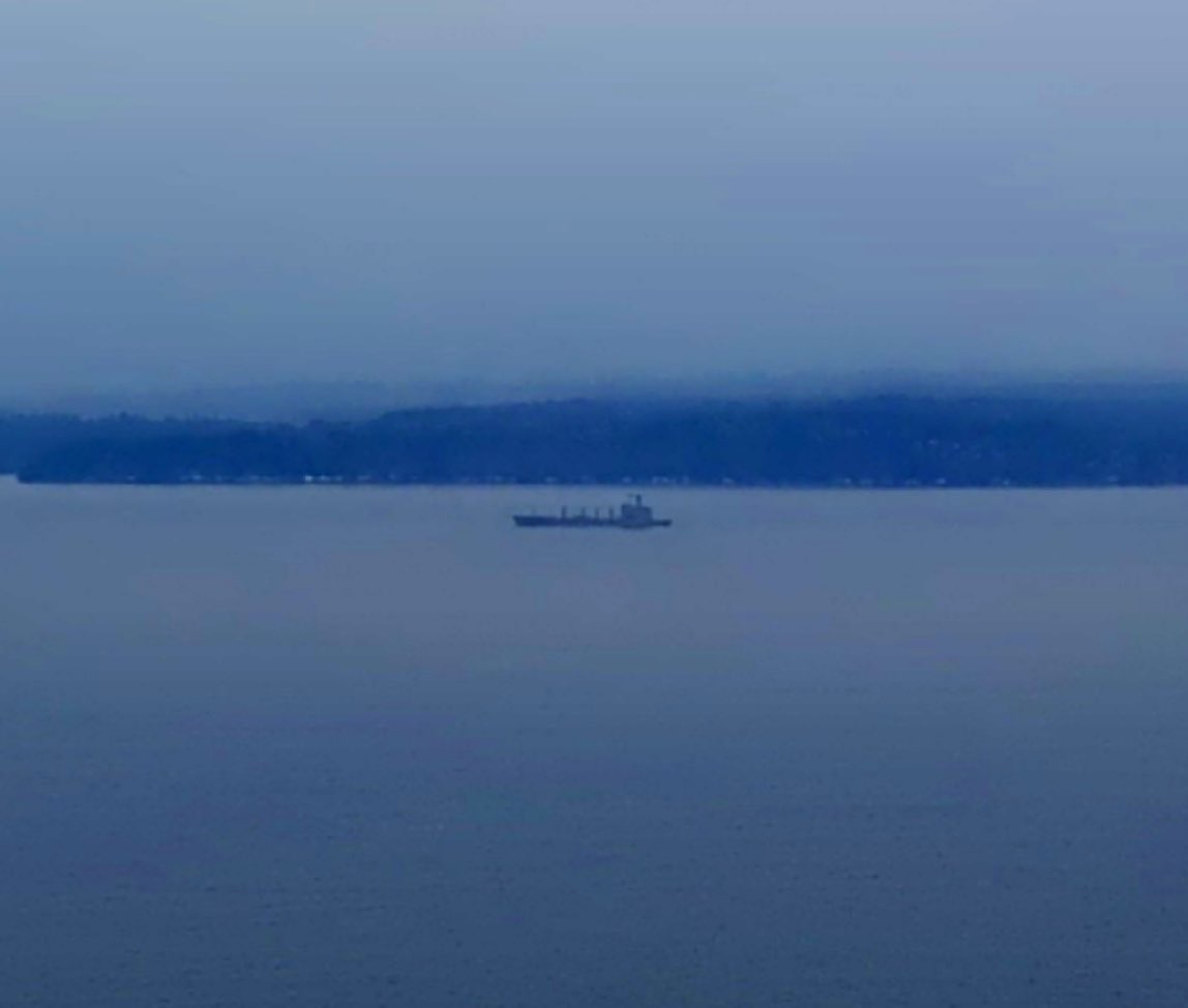 USNS Guadalupe (T-AO-200) Henry J. Kaiser-class replenishment oiler southbound in Puget Sound off of Seattle heading to Bremerton - March 9, 2024 #usnsguadalupe #tao200

SRC: webcam