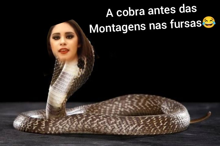 lidi18844's tweet photo. @rittocca @oemersonrocha Só defendeu Davi ai no início do programa pq não gostava de Juninho depois ficava escutando todo mundo fala mal dele e ate concordava ela é cobra traiu uma amiga no reality anterior https://t.co/EwuRgeQwnv