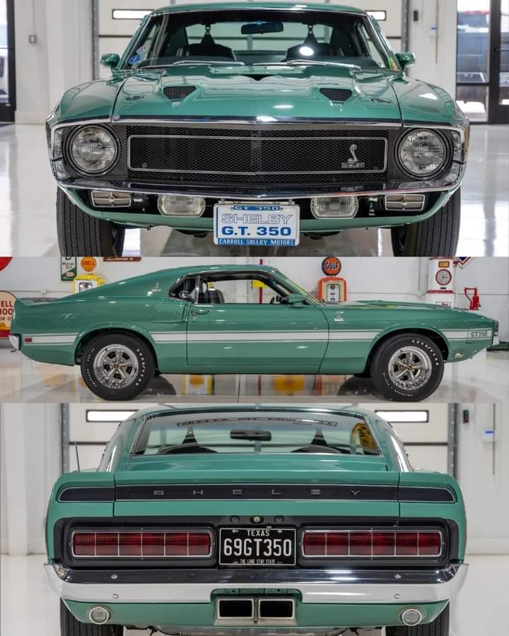 1969 Shelby GT350. Yes or no??