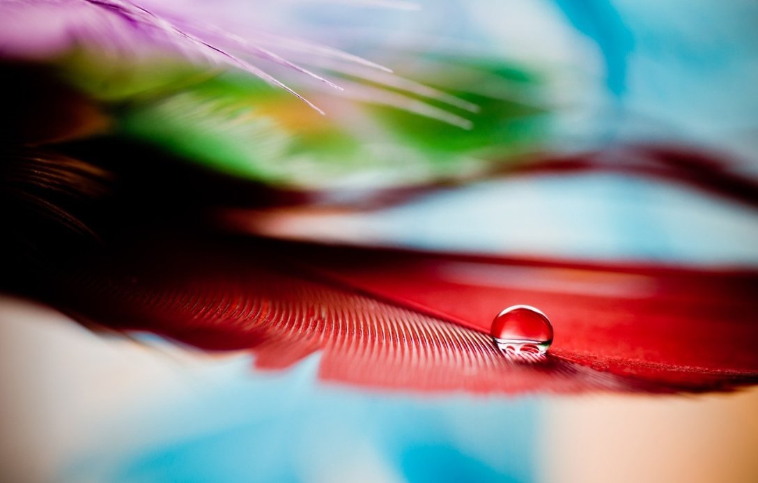 MaxiedotVox's tweet image. Witness the poetry of nature through the lens of macro photography: a solitary droplet of water, a feather&apos;s gentle embrace. Each frame tells a silent story of harmony and balance, reminding us of the intricate beauty woven into every corner of our world. #MacroMagic #NatureIsArt