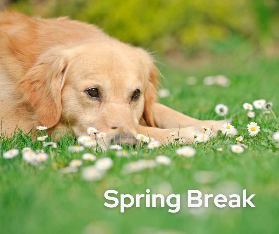 Enjoy Spring break, Badgers!