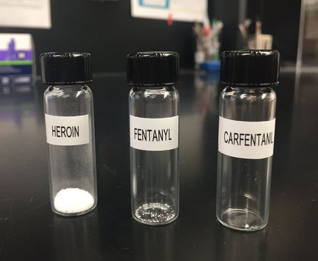 Vials of Heroin, Fentanyl, and Carfentanil side by side, each containing a lethal dose of the drug.

Fentanyl is 50 times more potent than heroin and 100 times more potent than morphine. 

Carfentanil is an extremely potent opioid analgesic used in veterinary medicine to