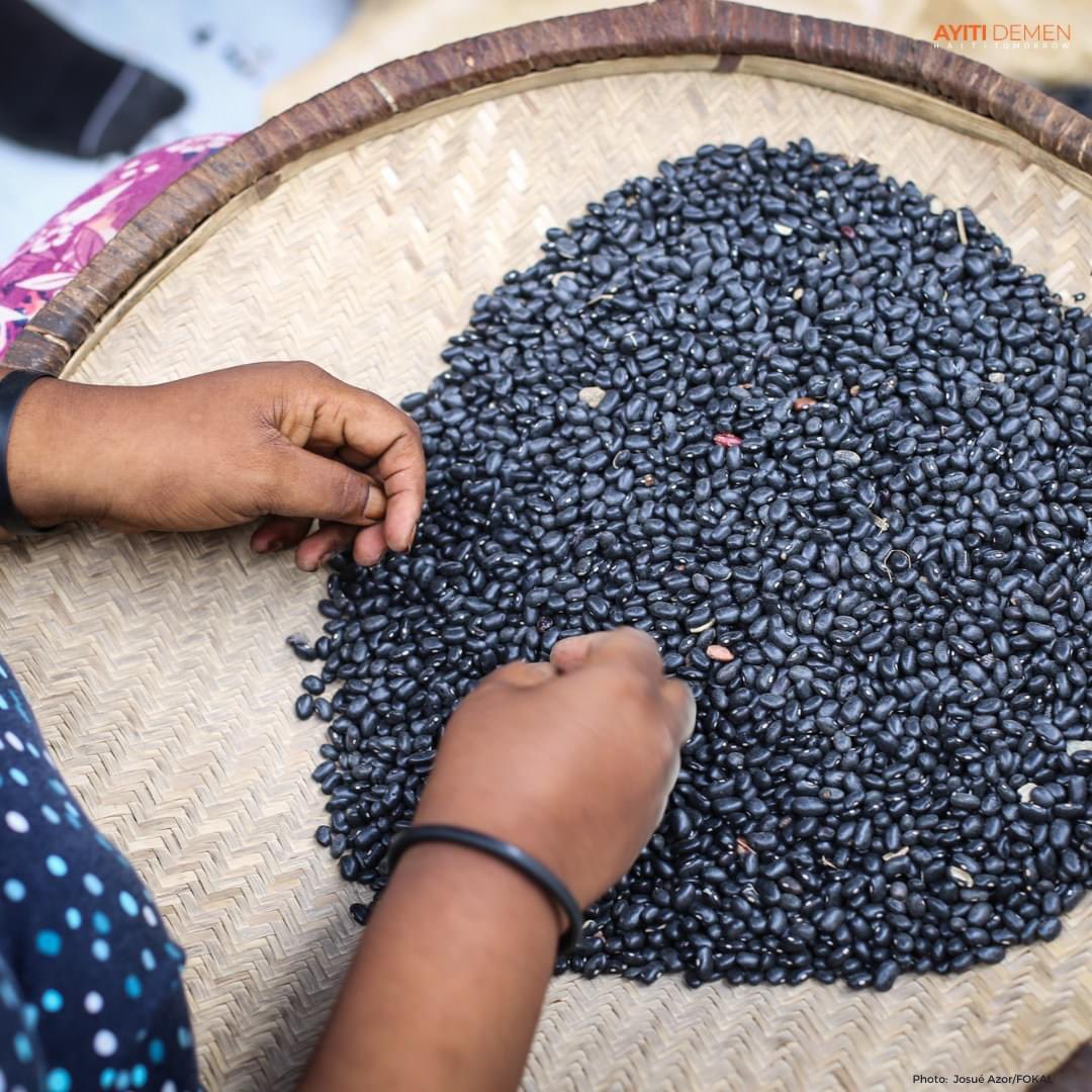 AyitiTomorrow's tweet photo. Farmers in #Haiti feed the cities in good times and bad. They also suffer when they can't get the seeds for their crops and other necessities from the cities. As the President of the Board points out, there are still #PocketsofHope for Haiti. Let's continue to support them! https://t.co/U371xvvyH4