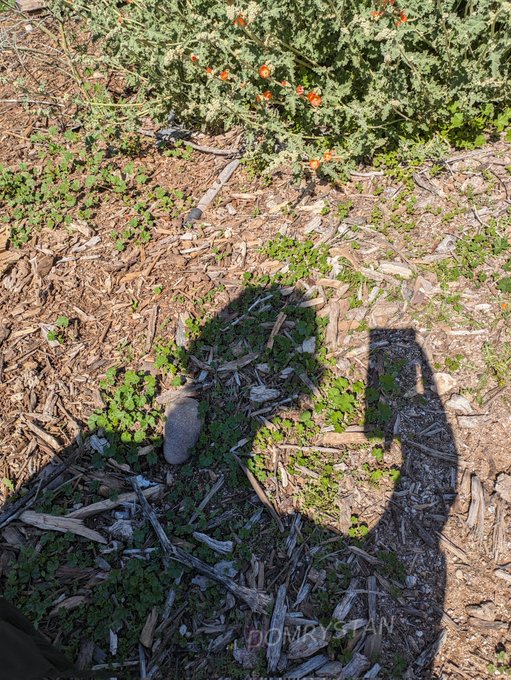 Watch Dominique Rystan's leaked NSFW photo on TwXstars