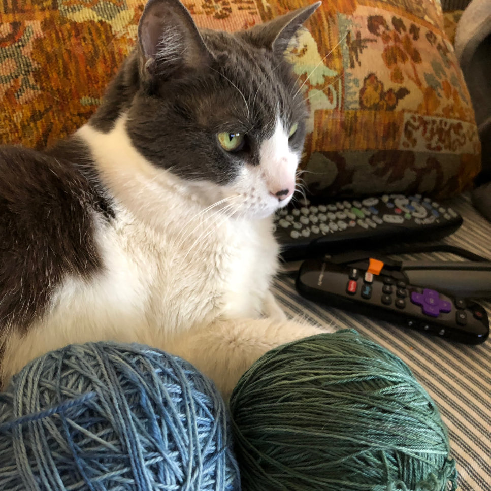 Remembering Mu-Mu, who, as my knitting supervisor, always judged my yarn choices.

#Caturday #WritersWithCats #AmWriting #AmWritingRomance #AmWritingHistoricalRomance #AmWritingMystery #AmRevising #RomanceWriter #WritingCommunity