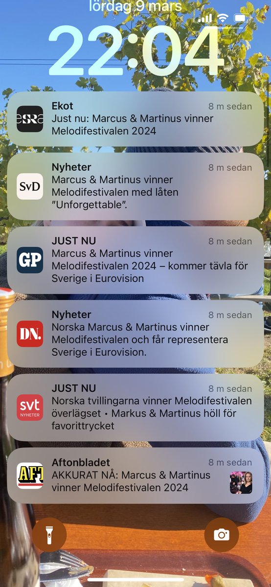 Sebastian Strand tweet media