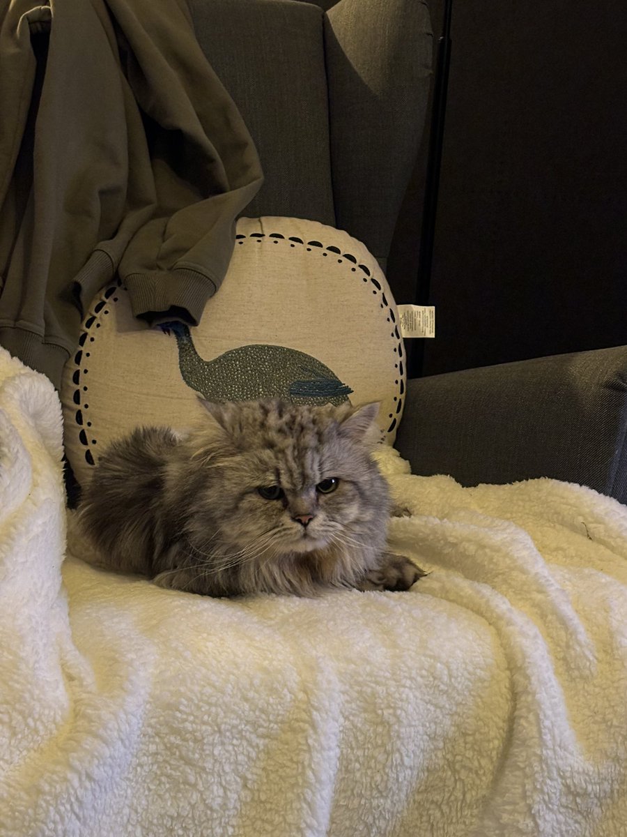 Welkom Nimbus ❤️