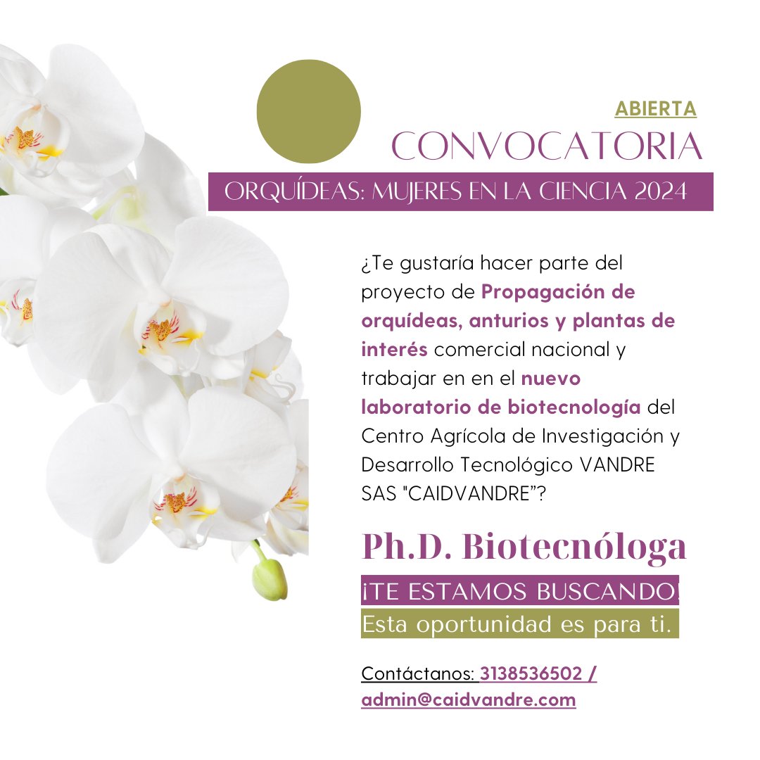 GatPrograma's tweet image. #Actualidad Abierta convocatoria 🌺Orquídeas: mujeres en la ciencia 2024 (bit.ly/4a6Fd5q). 👉🏼Buscamos PhD #biotecnóloga para trabajar en  proyecto de propagación de orquídeas, anturios y otras plantas de interés comercial nacional, en nuevo laboratorio de biotecnología👇🏼
