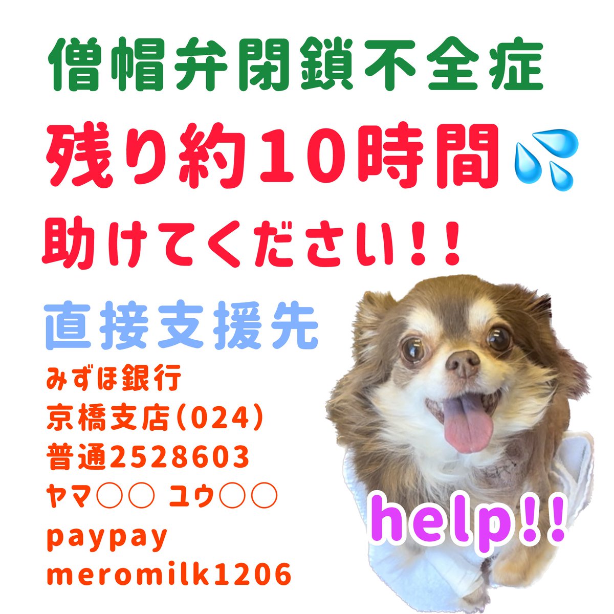 助けてください‼️
僧帽弁閉鎖不全症治療費のクラウドファンディング終了まで残りわずか💦💦

【残り約10時間‼️】
【目標まで39万6千円】

詳細はプロフィールURLからご覧ください🙇
家族が重い病で倒れ、皆様に頼らせていただいています🙇
readyfor.jp/projects/135900