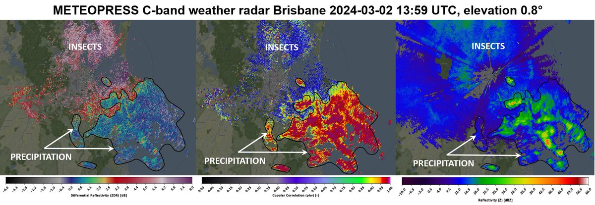 📡Rozeznat srážky a hmyz nám pomáhají polarimetrické veličiny. Tady jeden příklad z nedávných dní z našeho radaru v Brisbane.